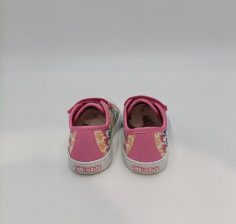 pablosky-968571 (2) pablosky-968571 (2)