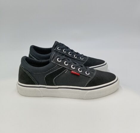 levis-vnyc0003t (1)