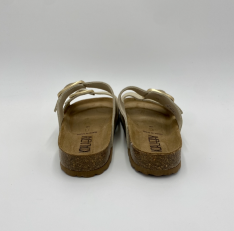 koala bay-31870602081 (2)