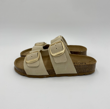 koala bay-31870602081 (3)