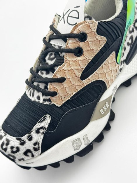 D190608-17 LEOPARDO (3)